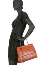 Trapeze Darwin Leather Etrier Red darwin EDAR01-vue-porte