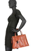 Sac Trap�ze Darwin Cuir Etrier Rouge darwin EDAR02-vue-porte