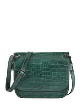 Shoulder Bag Darwin Leather Etrier Green darwin EDAR03