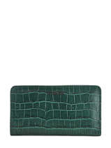 Leather Darwin Wallet Etrier Green darwin EDAR92