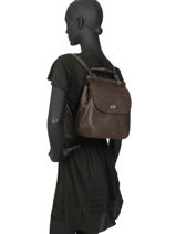 Backpack Etrier Brown casac ECAS03-vue-porte