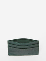 Porte-cartes Etrier Green sous l