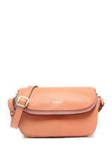 Small Leather Tradition Crossbody Bag Etrier Orange tradition ETRA059S
