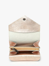 Portemonnee Etincelle Irisee Leder Etrier Roze etincelle irisee EETI5018-vue-porte