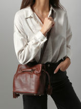 Small Leather Tradition Bucket Bag Etrier Brown tradition ETRA004S-vue-porte
