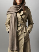 Écharpe Cachemire Vercors Etrier Marron vercors EVER427U-vue-porte