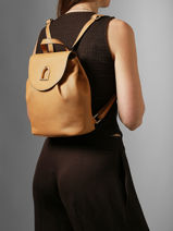 Backpack Shadow Etrier Brown shadow ESHA165M-vue-porte