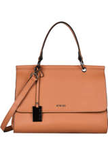 Sac Port Main Blazer Cuir Etrier Marron blazer EBLA001L