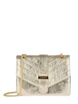 Medium Leather Jana Iris Crossbody Bag Etrier Gold jana irise EJIR002M