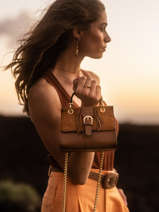 Small Leather Crossbody Bag Nomade Etrier Brown nomade ENOM001S