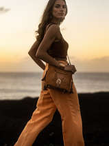 Leather Crossbody Bag Nomade Etrier Brown nomade ENOM004S