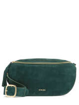 Sac Banane Etrier Vert voltige EVOL022L