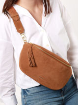 Belt Bag Etrier Brown voltige EVOL022L-vue-porte