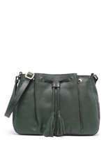 Crossbody Bag Tradition Leather Etrier Green tradition CA21065