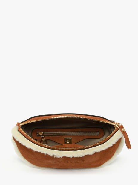 Heuptasje Alpin Leder Etrier Bruin alpin EALP022M ander zicht 3