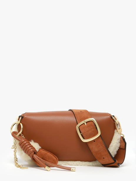 Heuptasje Alpin Leder Etrier Bruin alpin EALP022M ander zicht 4