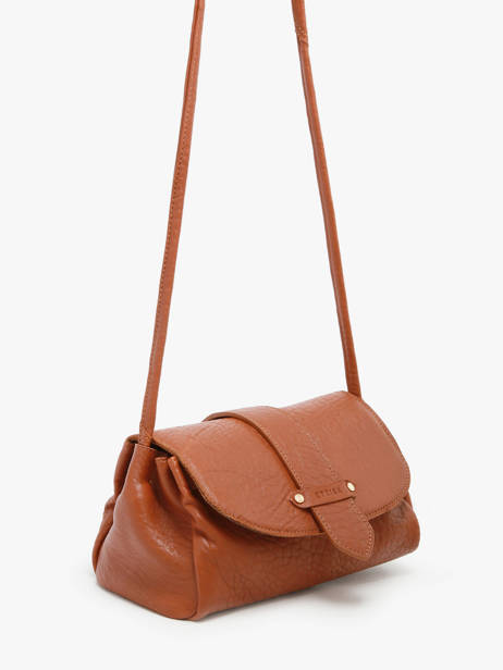 Sac Bandoulière M Agnes Cuir Etrier Marron agnes EAGC205M vue secondaire 4