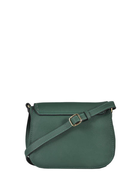 Crossbody Bag Tradition Leather Etrier Green tradition EHER23 other view 3