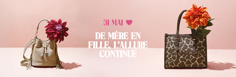 f&ecirc;te des m&egrave;res